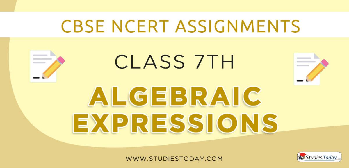 assignments-for-class-7-algebraic-expressions-pdf-download